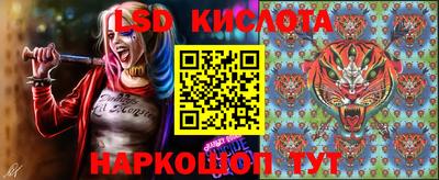 шишки Дмитров