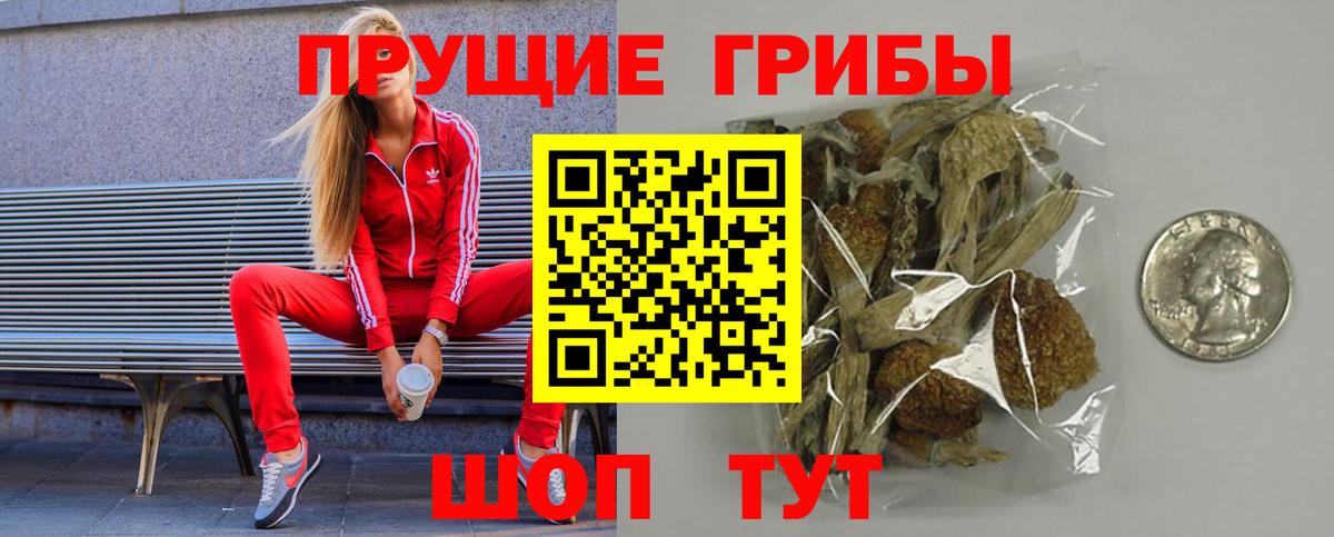 Псилоцибиновые грибы Magic Shrooms  Псилоцибиновые грибы Cubensis  Нижнеудинск  Вход с VPN 