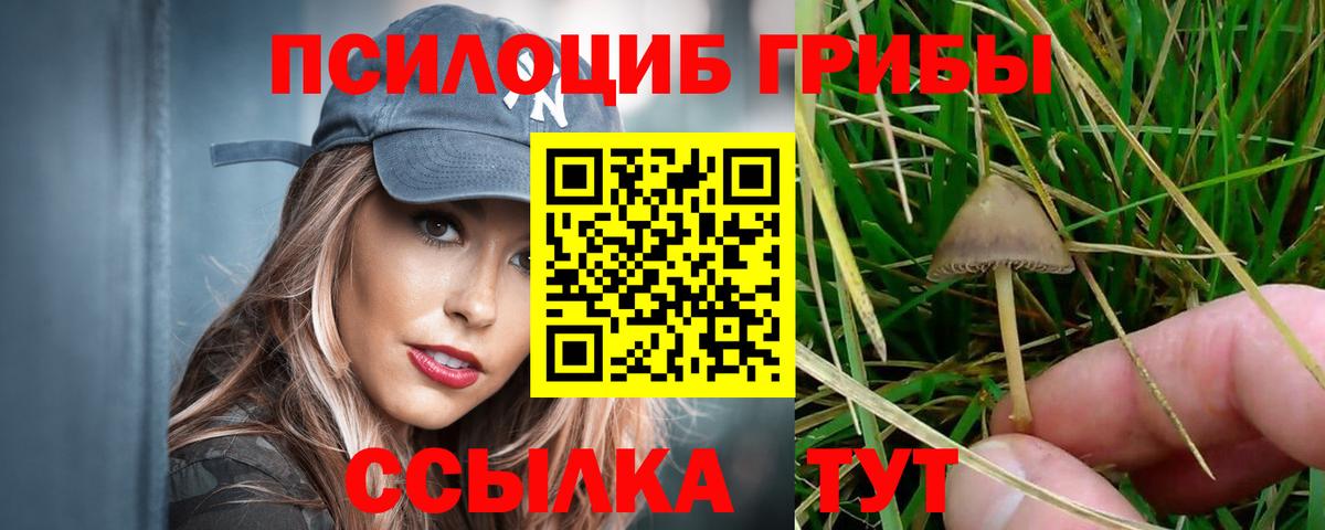 Галлюциногенные грибы Cubensis Нижнеудинск